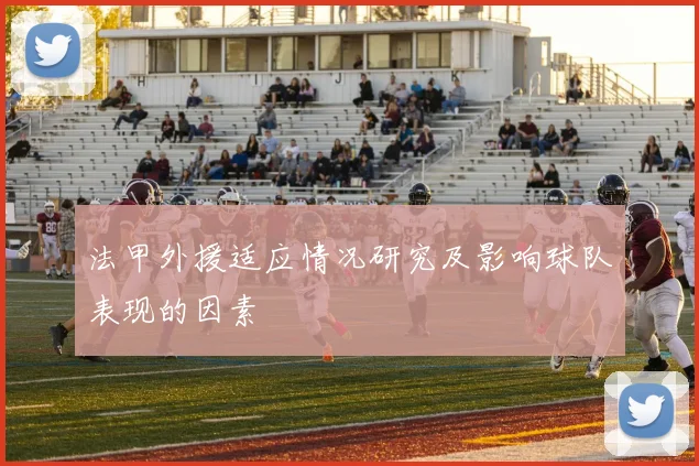 法甲外援适应情况研究及影响球队表现的因素