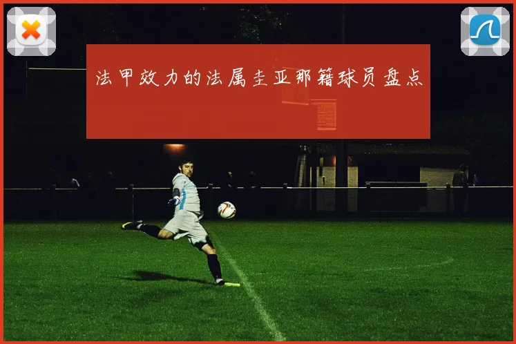 法甲效力的法属圭亚那籍球员盘点