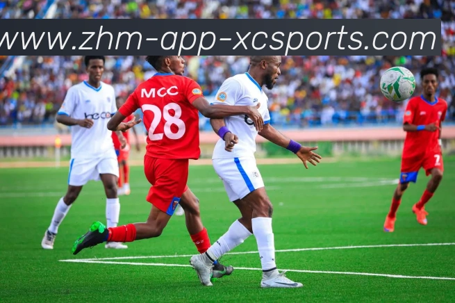 德甲足球球队名字的由来及其背后的文化解读