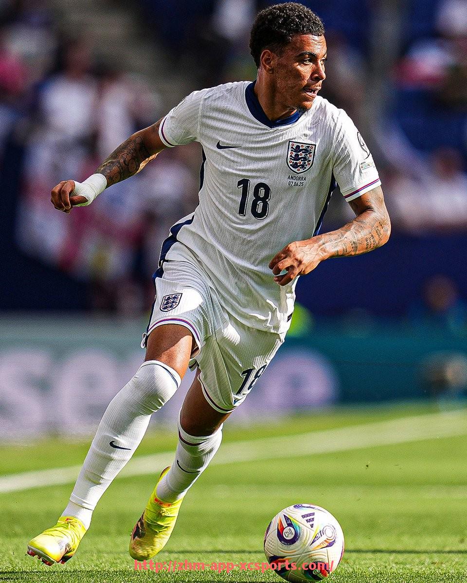 杏彩体育-意甲和德甲球队数据对比 谁更具综合实力