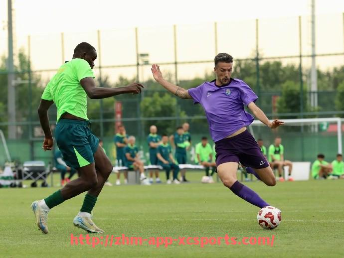 杏彩体育-法甲球队市场价值排行榜：2024赛季身价变化图解